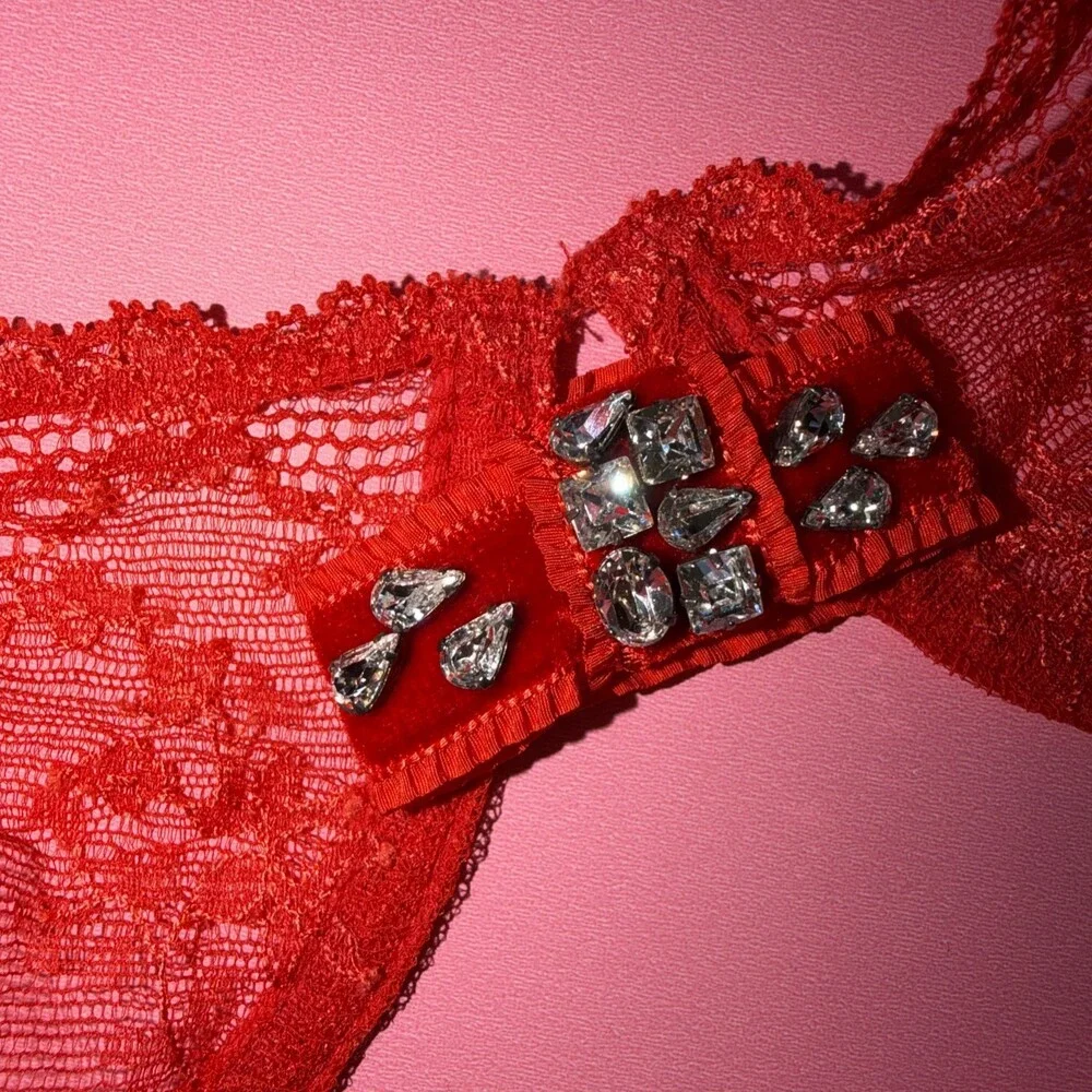 Victoria's Secret DESIGNER COLLECTION 36C BRA+garter+L RED VELOUR BOWS crystals